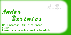 andor marinics business card